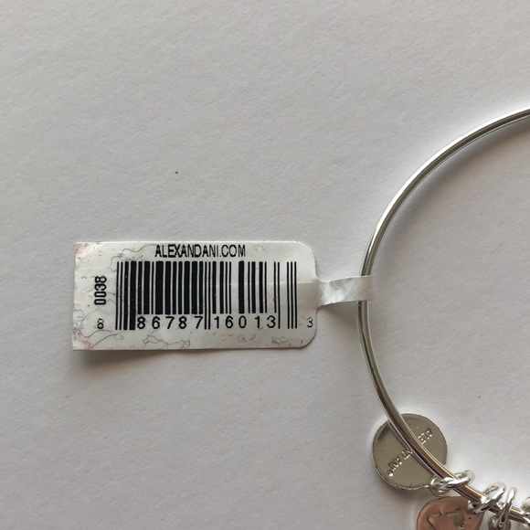 Alex and Ani Elf Raised by Elves Bangle Shiny Silver Bangle Bracelet - Picture 4 of 4